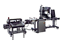 Labeling and Batch Counting